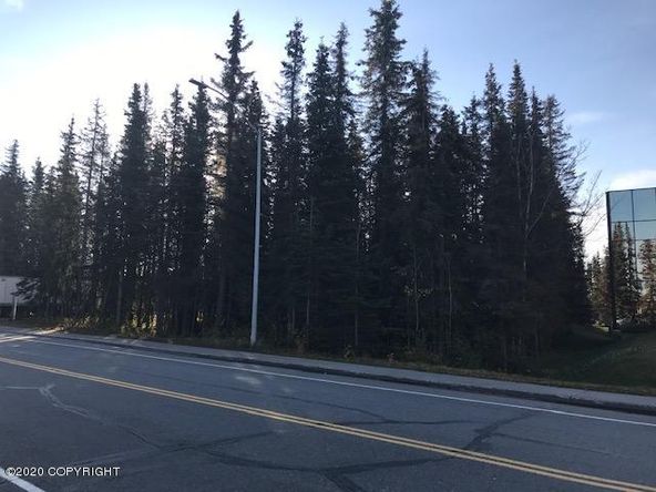 213 Fidalgo Ave, Kenai, AK 99611